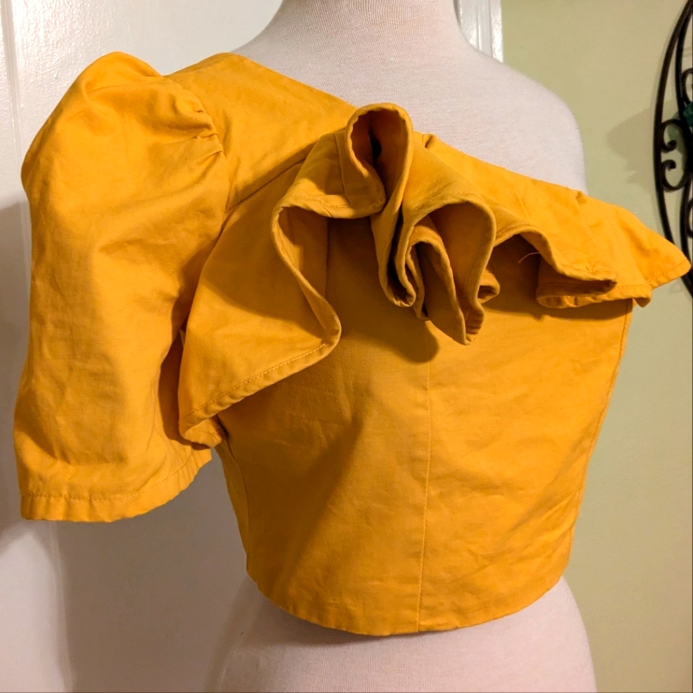 Pink Owl Ruffled Neckline One Shoulder Mango Crop Top M/L